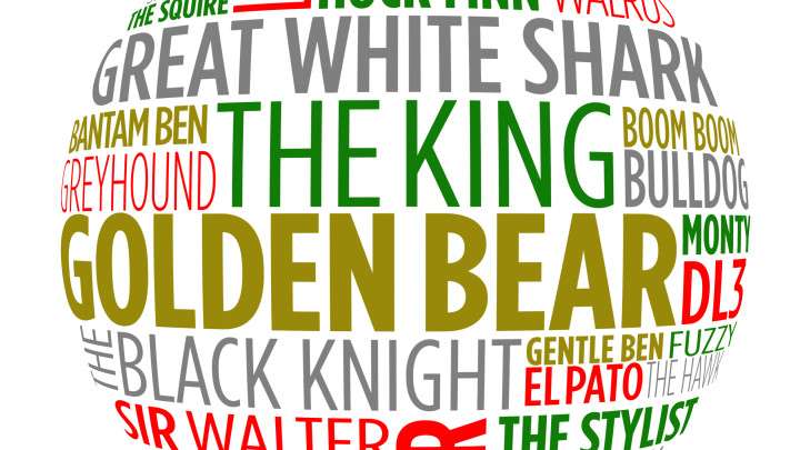 THE NICKNAME GAME thumbnail